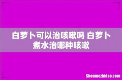 白萝卜可以治咳嗽吗 白萝卜煮水治哪种咳嗽
