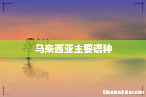 马来西亚主要语种