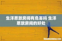 生洋葱放房间有危害吗 生洋葱放房间的好处