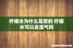 柠檬水为什么是苦的 柠檬水可以去湿气吗