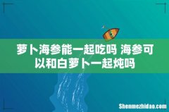 萝卜海参能一起吃吗 海参可以和白萝卜一起炖吗