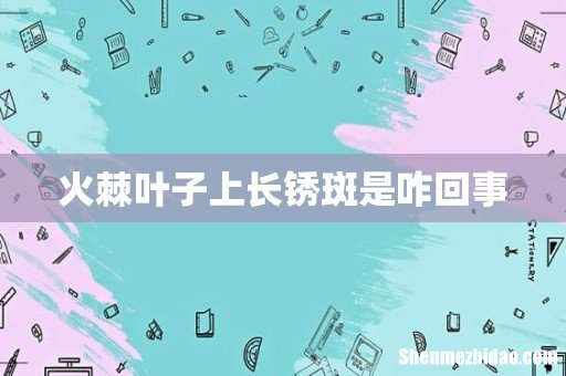 火棘叶子上长锈斑是咋回事