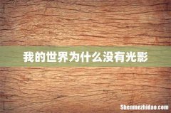 我的世界为什么没有光影