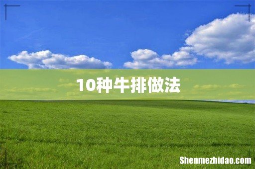 10种牛排做法