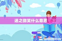 迷之微笑什么意思