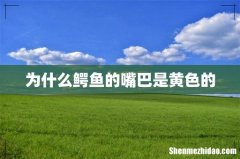 为什么鳄鱼的嘴巴是黄色的