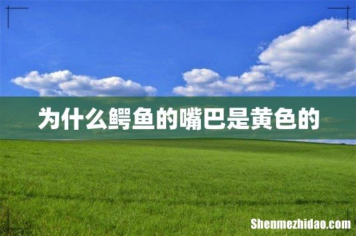 为什么鳄鱼的嘴巴是黄色的
