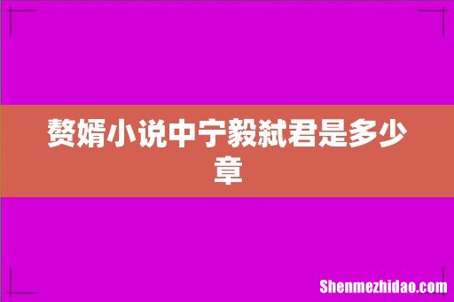 赘婿小说中宁毅弑君是多少章