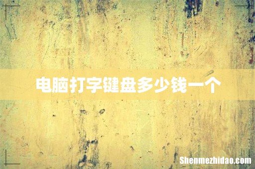 电脑打字键盘多少钱一个