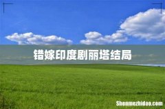 错嫁印度剧丽塔结局