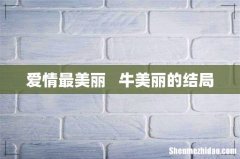 爱情最美丽牛美丽的结局