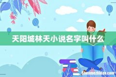 天阳城林天小说名字叫什么
