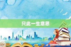 只此一生意思