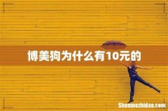 博美狗为什么有10元的