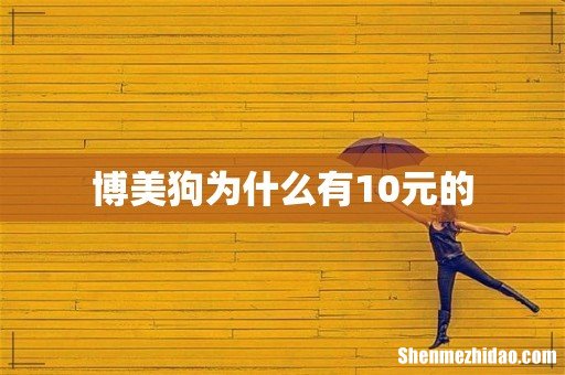 博美狗为什么有10元的
