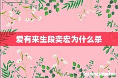 爱有来生段奕宏为什么杀