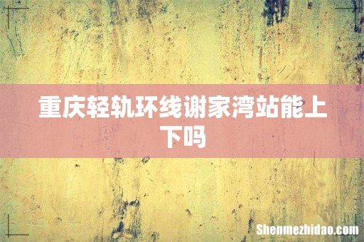 重庆轻轨环线谢家湾站能上下吗