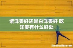 紫洋姜好还是白洋姜好 吃洋姜有什么好处