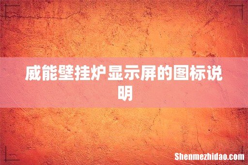 威能壁挂炉显示屏的图标说明