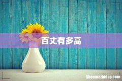 百丈有多高