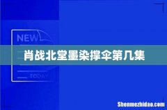 肖战北堂墨染撑伞第几集