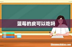 蓝莓的皮可以吃吗