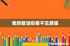 我的眼泪你看不见原唱