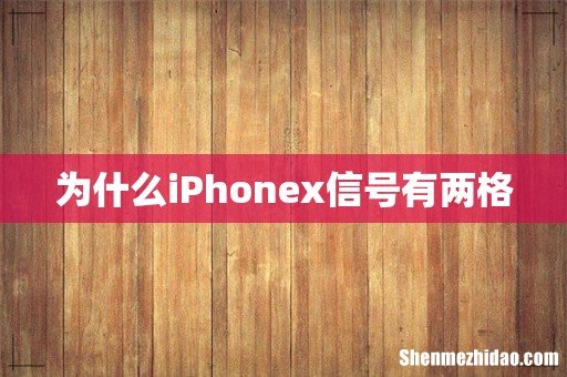 为什么iPhonex信号有两格