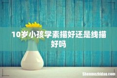 10岁小孩学素描好还是线描好吗
