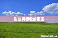 影响钙吸收的因素