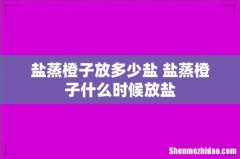 盐蒸橙子放多少盐 盐蒸橙子什么时候放盐