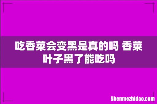 吃香菜会变黑是真的吗 香菜叶子黑了能吃吗