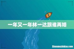 一年又一年林一达跟谁再婚