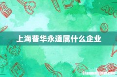 上海普华永道属什么企业