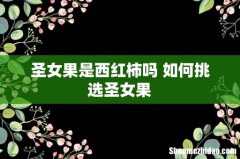 圣女果是西红柿吗 如何挑选圣女果