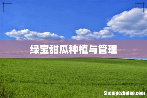 绿宝甜瓜种植与管理