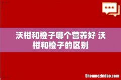 沃柑和橙子哪个营养好 沃柑和橙子的区别
