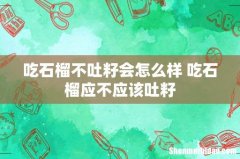 吃石榴不吐籽会怎么样 吃石榴应不应该吐籽