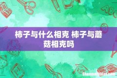 柿子与什么相克 柿子与蘑菇相克吗