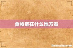 食物链在什么地方看