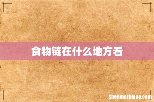 食物链在什么地方看