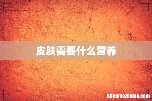 皮肤需要什么营养