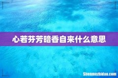 心若芬芳暗香自来什么意思
