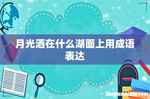 月光洒在什么湖面上用成语表达