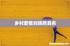 乡村爱情刘晓燕真名