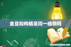 金豆和枸橘是同一植物吗