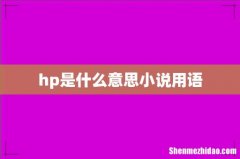 hp是什么意思小说用语