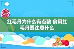 红毛丹为什么有点酸 食用红毛丹要注意什么