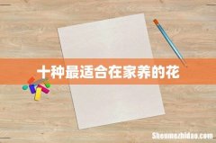 十种最适合在家养的花