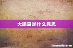 大鹏鸟是什么意思